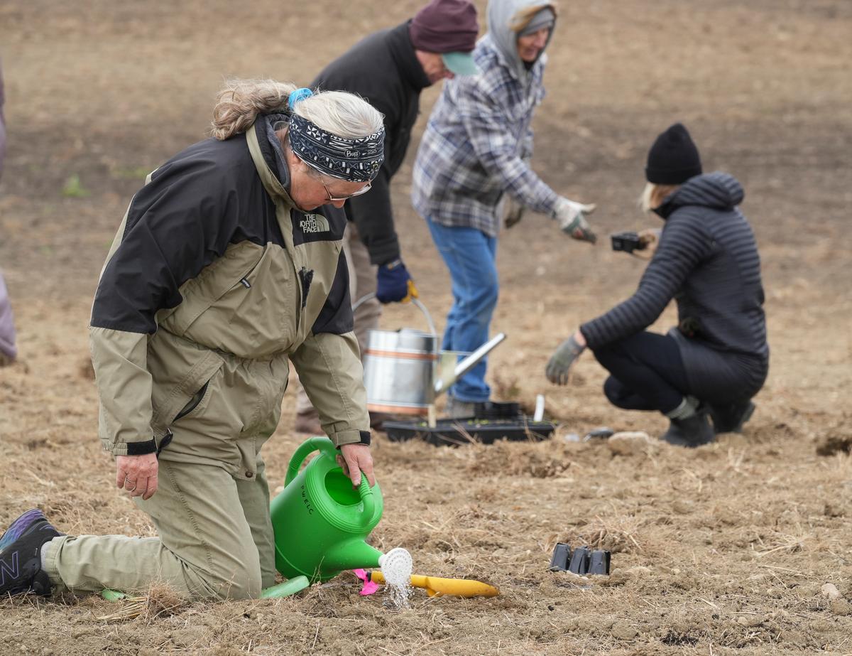 Prairie restoration showcased at Minnesota environmental learning center
