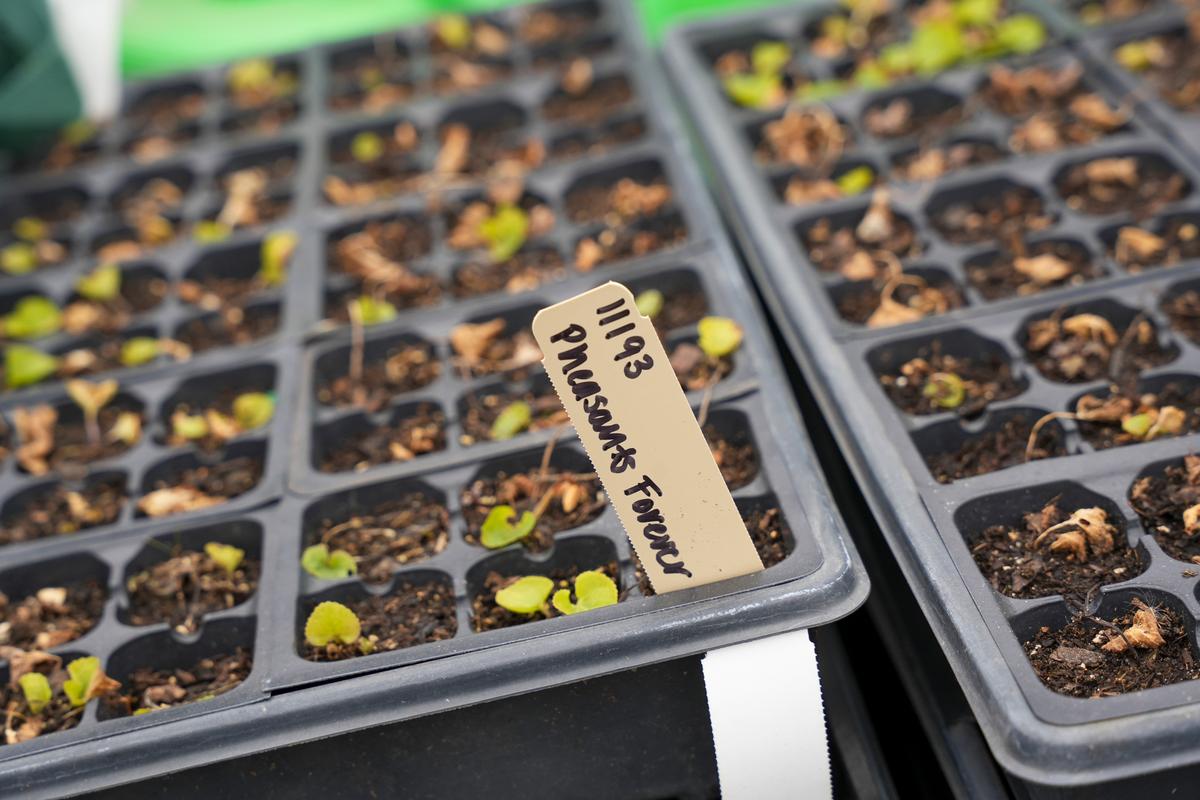 Prairie restoration showcased at Minnesota environmental learning center